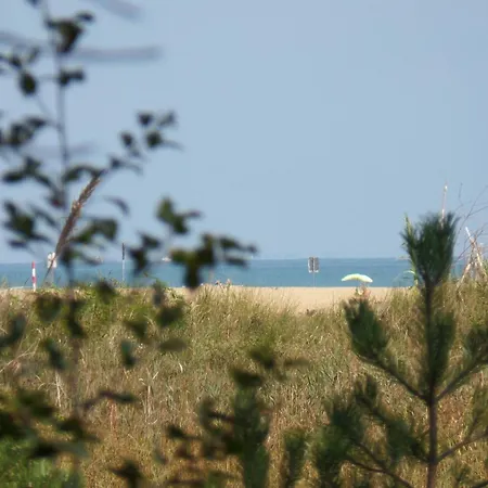 アパート Ferienwohnung Fuer 6 Personen Ca 48 Qm In Bibione, Adriakueste Italien Und Umgebung